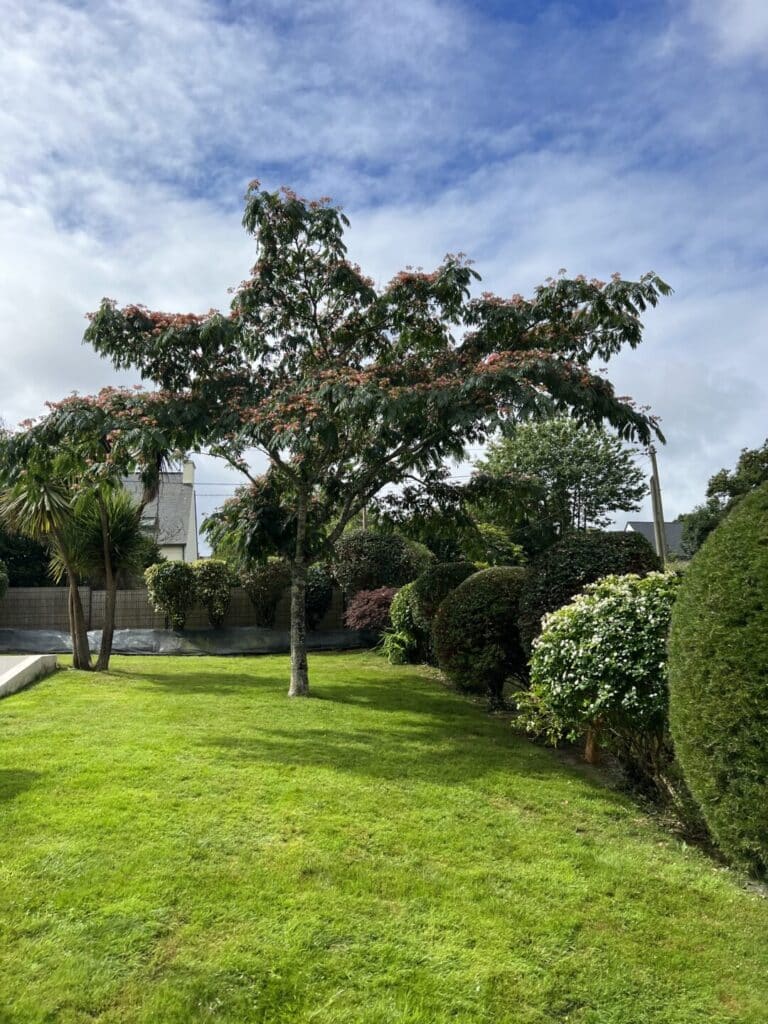 Entretien Merrien Paysages4 - Fouesnant, Concarneau